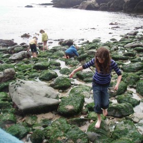 Sandcastles and starfish at Salcombe