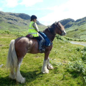 Peaks, pony treks and pottering about on the Lakes