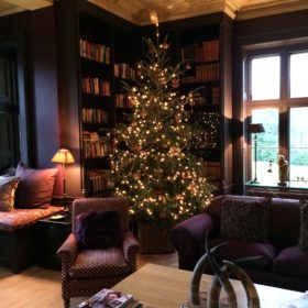 Christmas and New Year at Ladyham